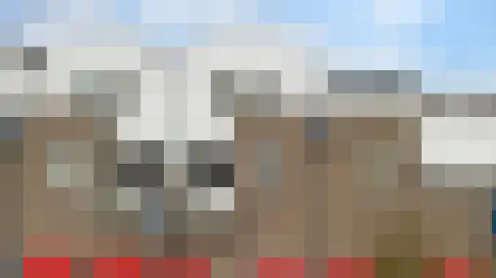 Vredebest 11 Gouda thumbnail 7
