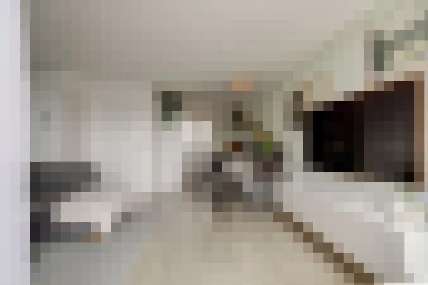 Vredebest 13 Gouda thumbnail 10