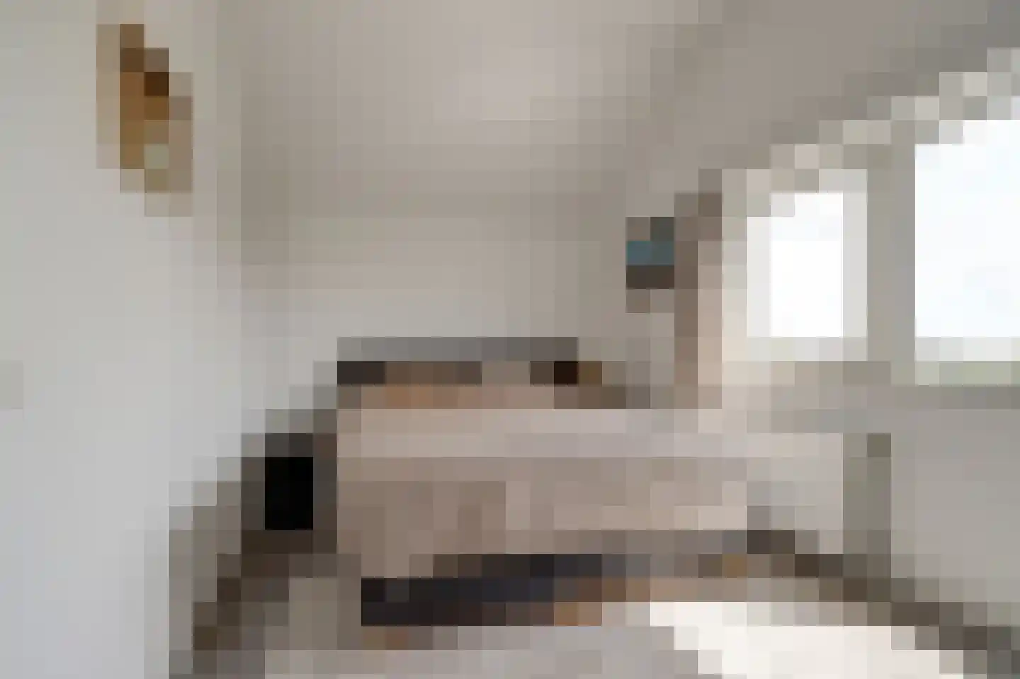 Vredebest 13 Gouda thumbnail 17