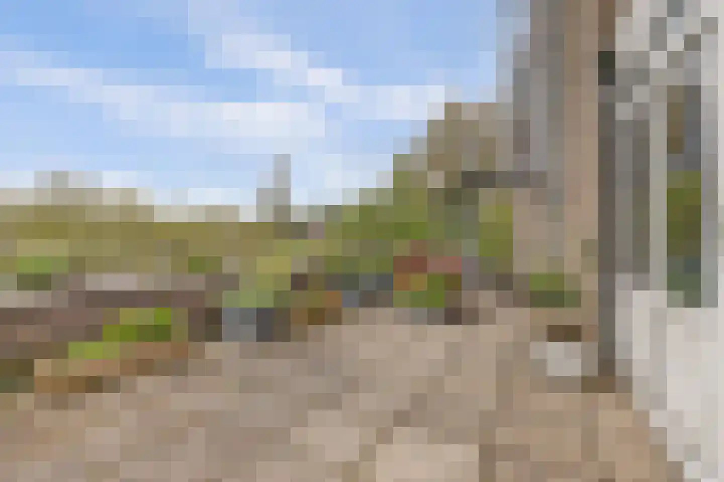 Vredebest 13 Gouda thumbnail 25