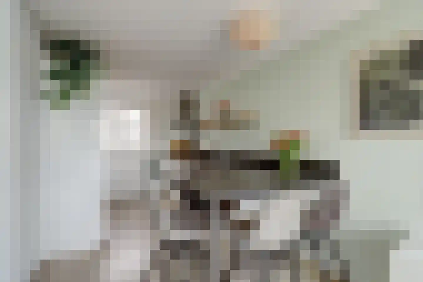 Vredebest 13 Gouda thumbnail 4