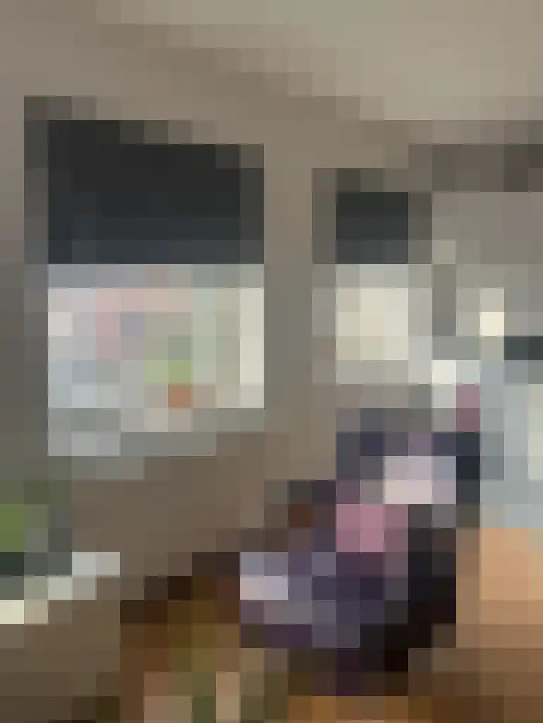 Vredebest 16 Gouda thumbnail 10