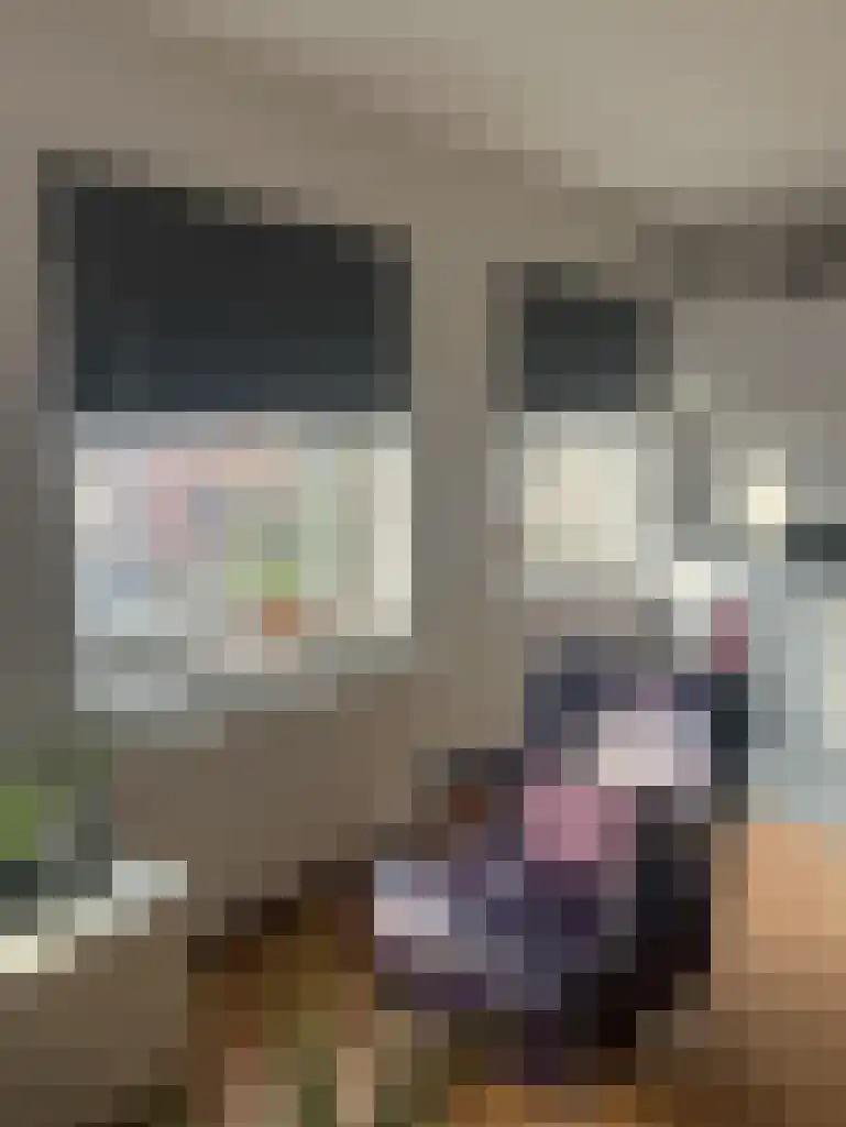 Vredebest 16 Gouda thumbnail 4