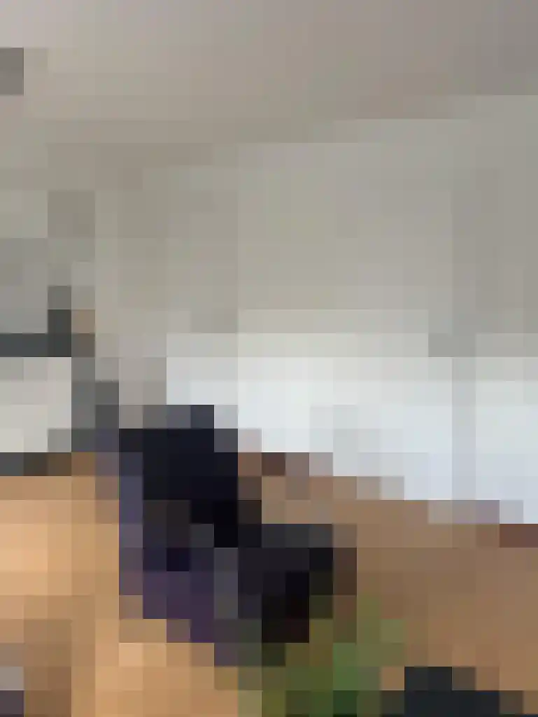 Vredebest 16 Gouda thumbnail 6