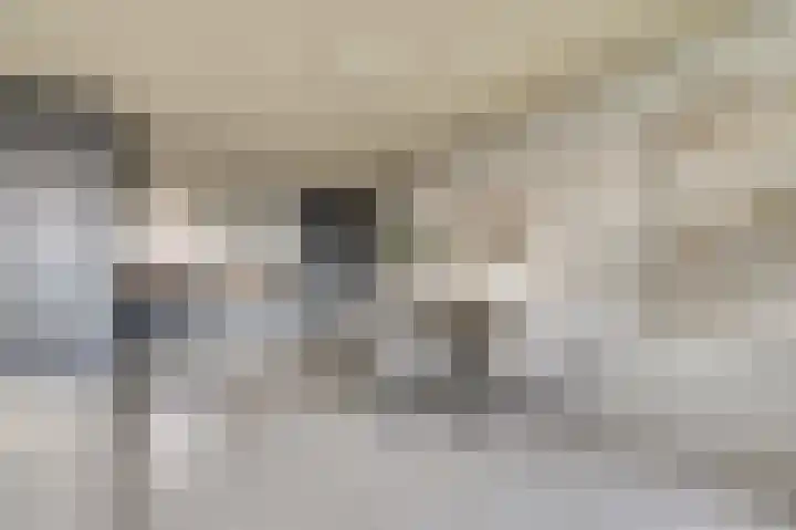 Vredebest 17 Gouda thumbnail 10