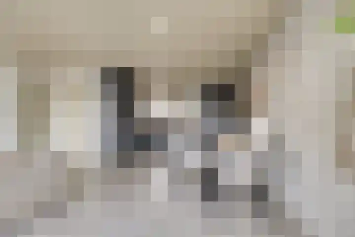Vredebest 17 Gouda thumbnail 11