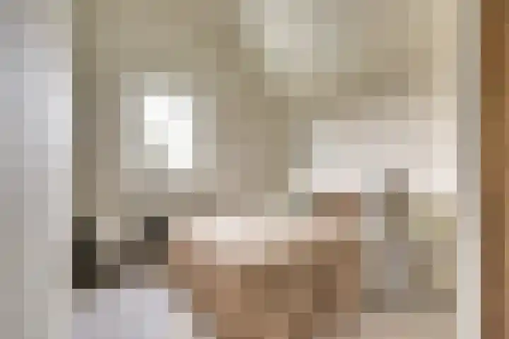 Vredebest 17 Gouda thumbnail 15