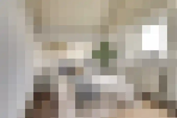 Vredebest 17 Gouda thumbnail 17