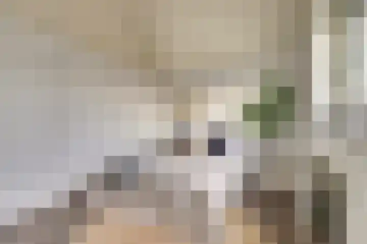 Vredebest 17 Gouda thumbnail 20