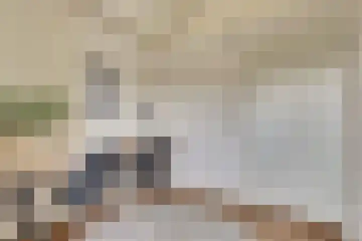 Vredebest 17 Gouda thumbnail 22