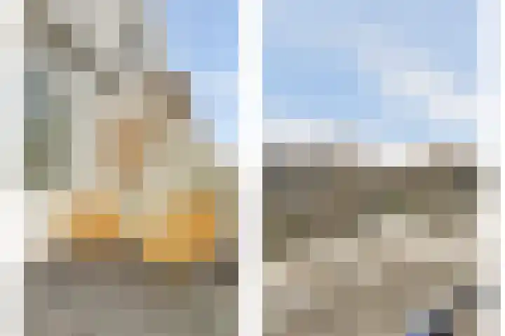 Vredebest 17 Gouda thumbnail 24
