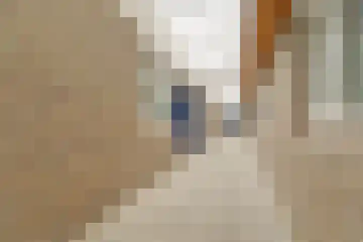 Vredebest 17 Gouda thumbnail 27