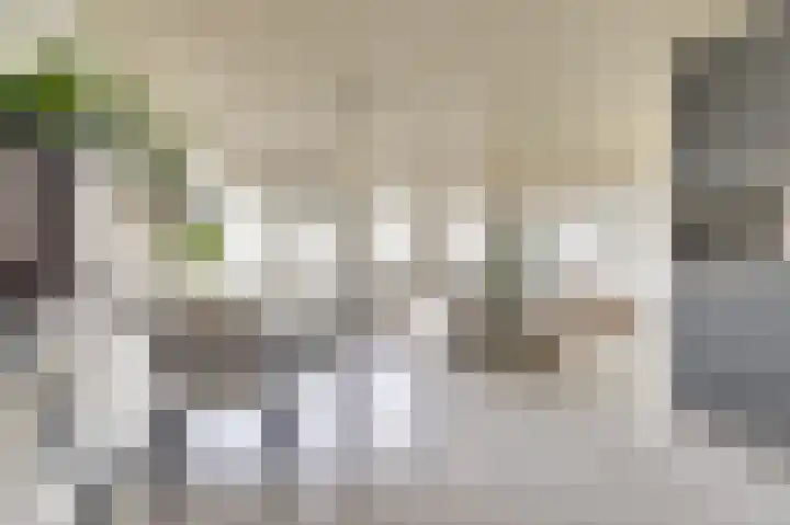 Vredebest 17 Gouda thumbnail 4