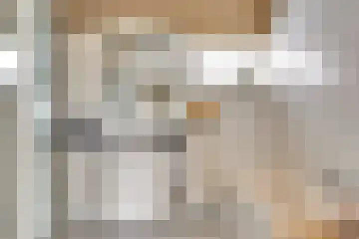 Vredebest 17 Gouda thumbnail 5