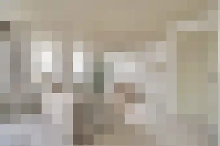 Vredebest 17 Gouda thumbnail 7