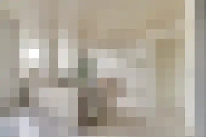Vredebest 17 Gouda thumbnail 8