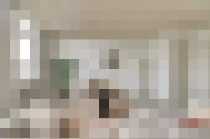 Vredebest 17 Gouda thumbnail 9