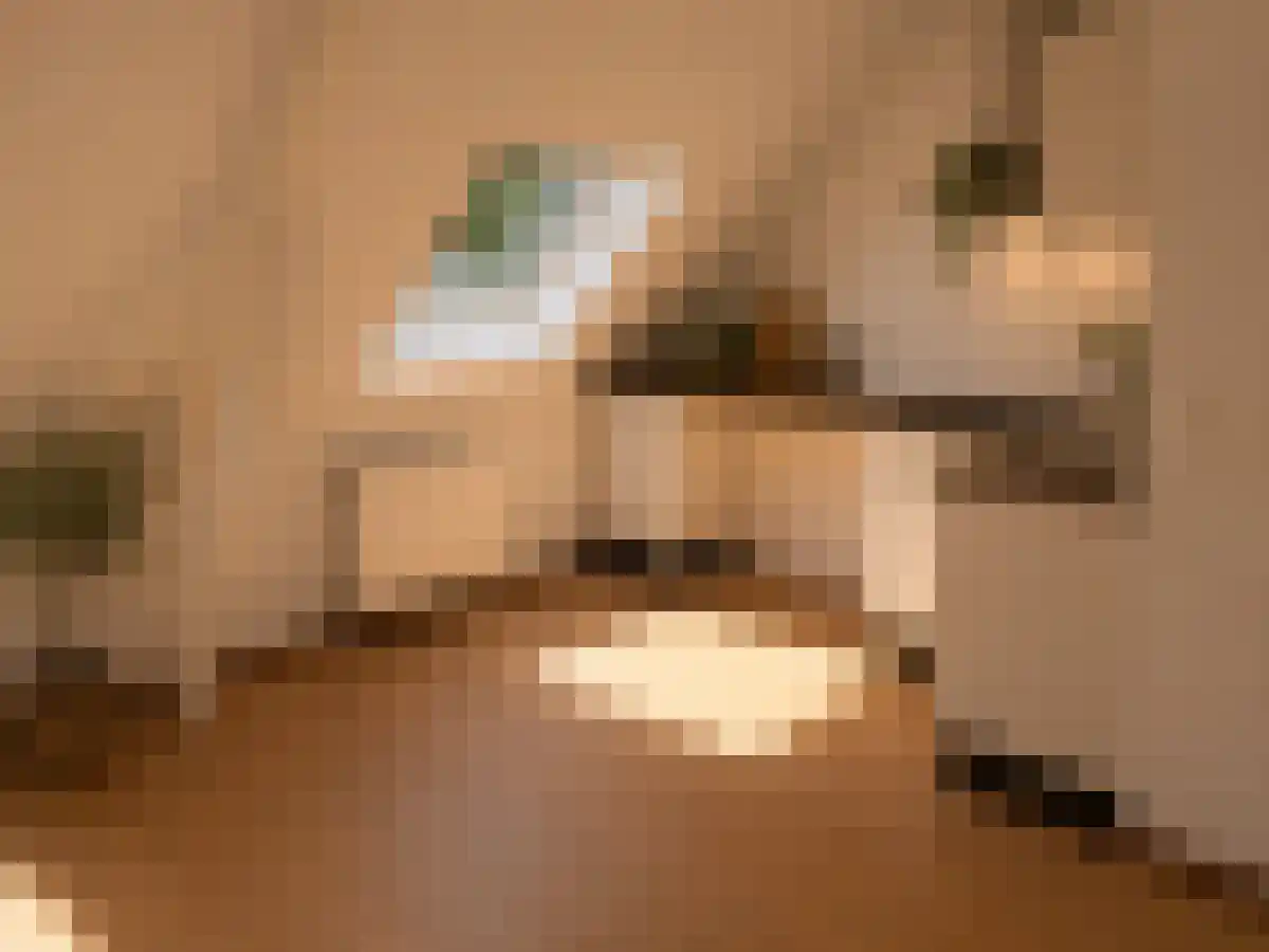 Vredebest 20 Gouda thumbnail 4