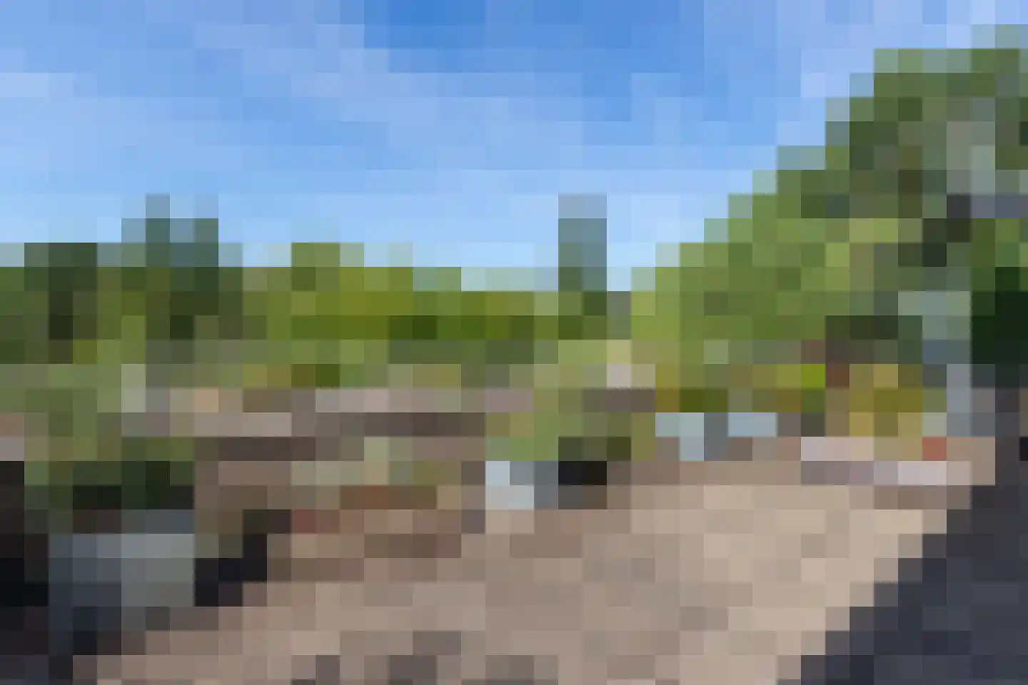 Vredebest 29 Gouda thumbnail 36