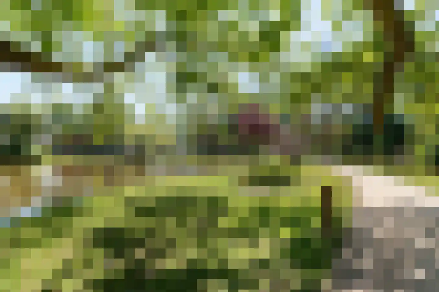 Vredebest 29 Gouda thumbnail 40