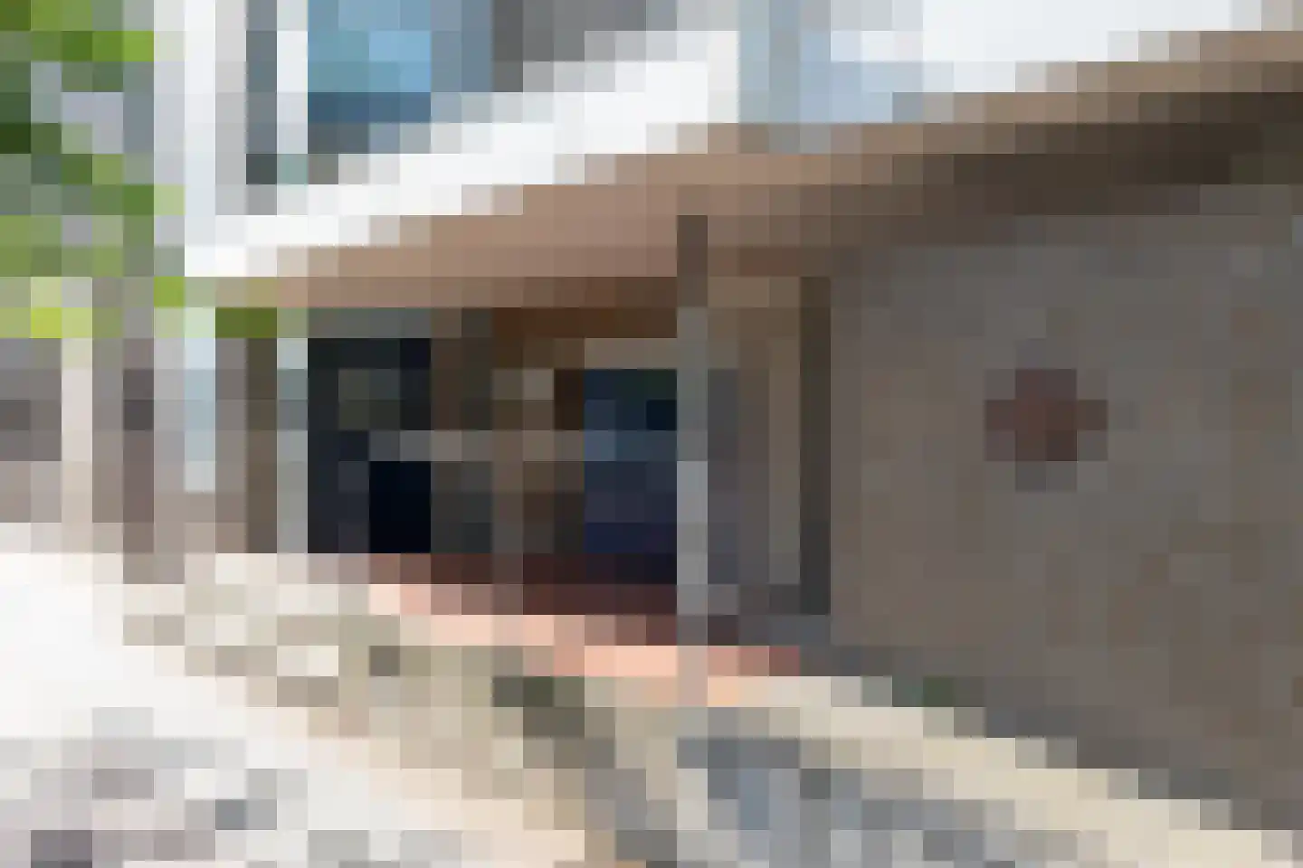 Vredebest 29 Gouda thumbnail 6