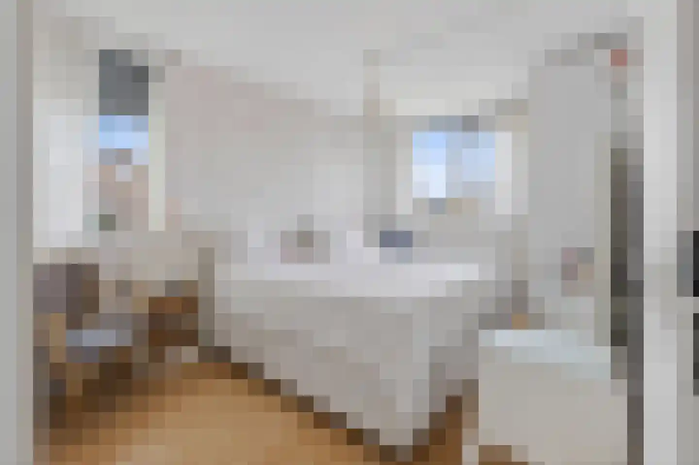Vredebest 34 Ouderkerk aan de Amstel thumbnail 14