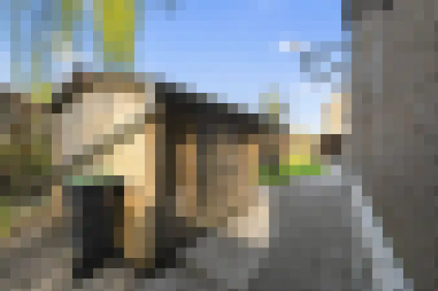 Vredebest 34 Ouderkerk aan de Amstel thumbnail 42