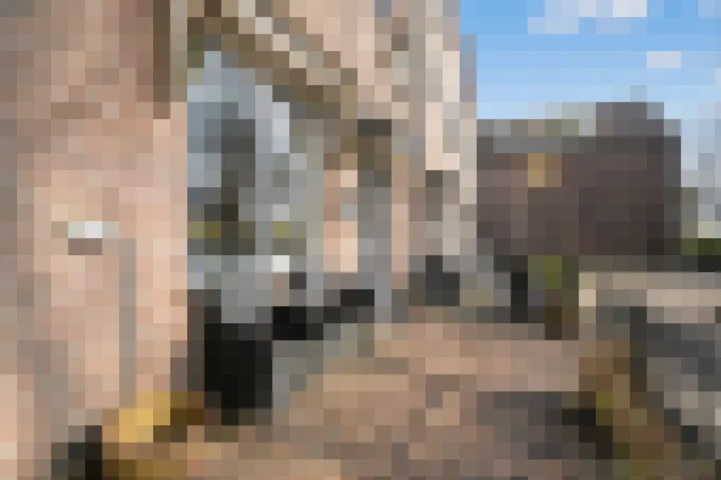 Vredebest 34 Ouderkerk aan de Amstel thumbnail 44