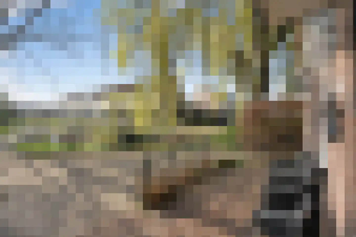 Vredebest 34 Ouderkerk aan de Amstel thumbnail 47