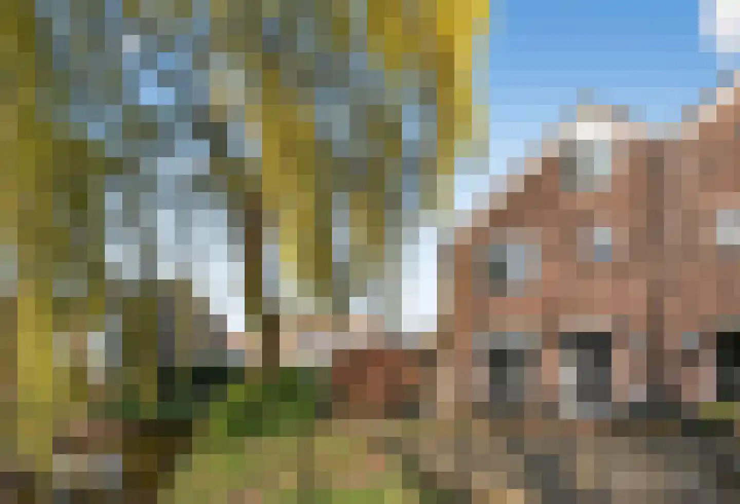Vredebest 34 Ouderkerk aan de Amstel thumbnail 48