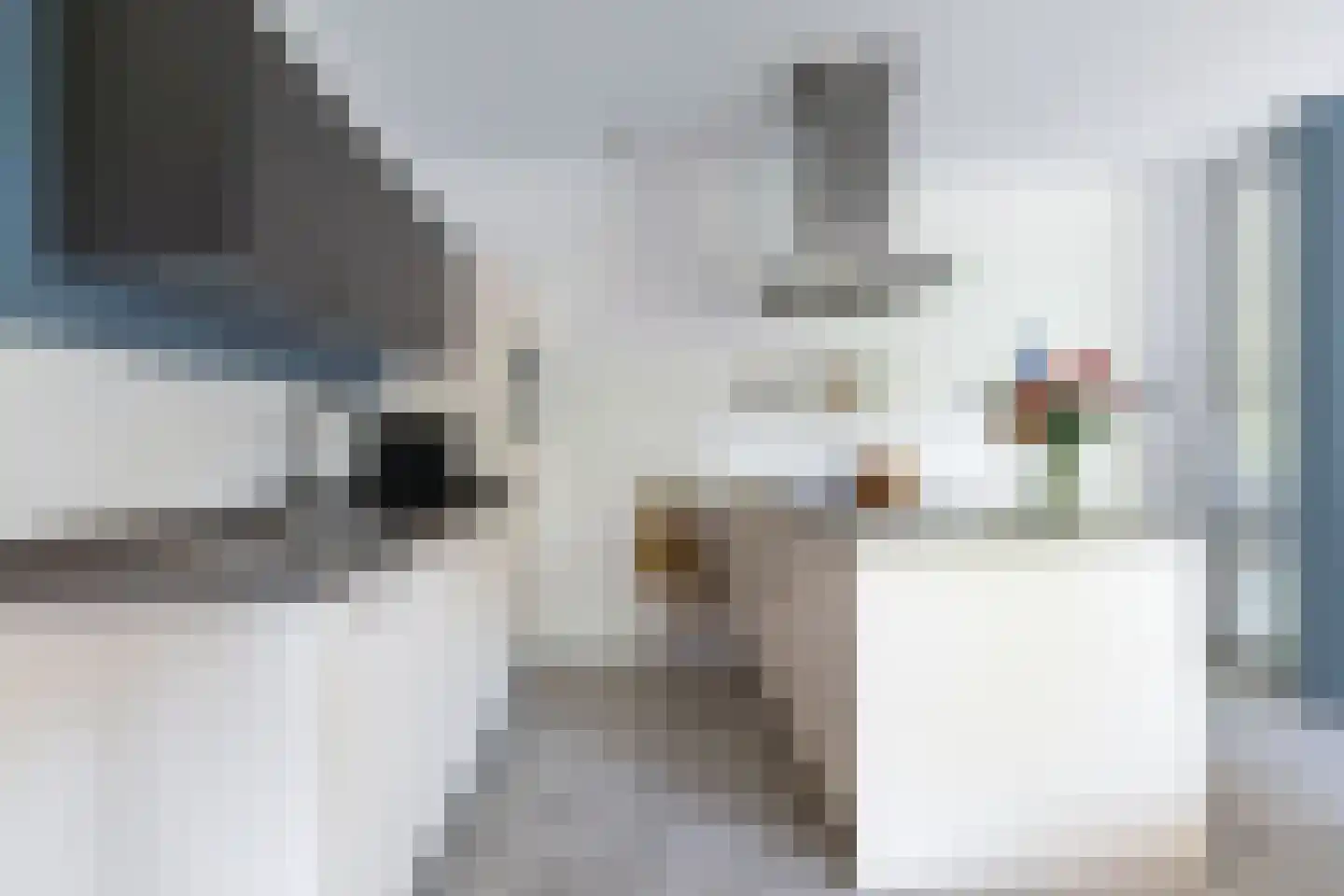 Vredebest 35 Gouda thumbnail 24