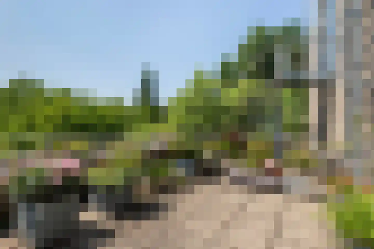 Vredebest 35 Gouda thumbnail 56