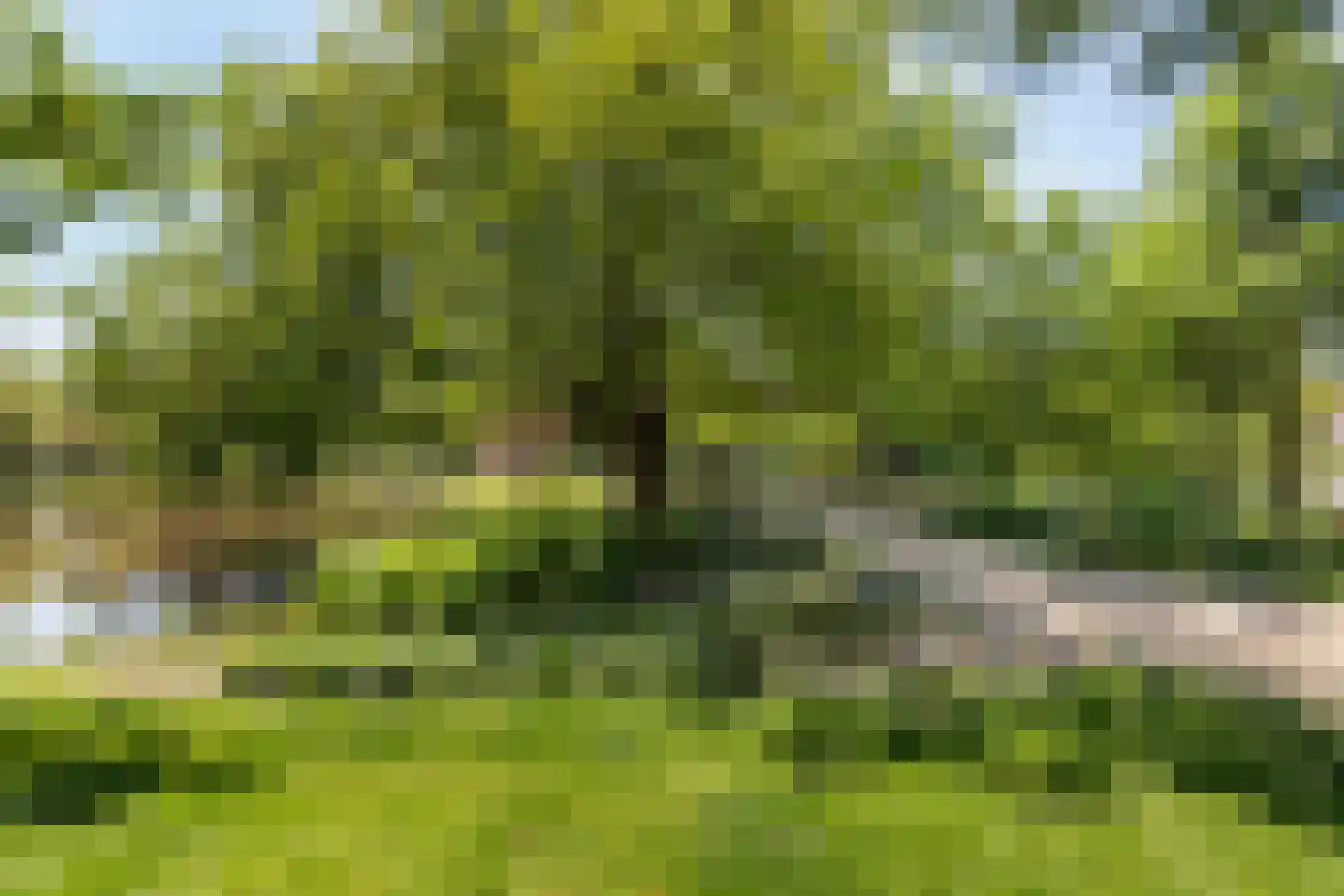 Vredebest 35 Gouda thumbnail 59