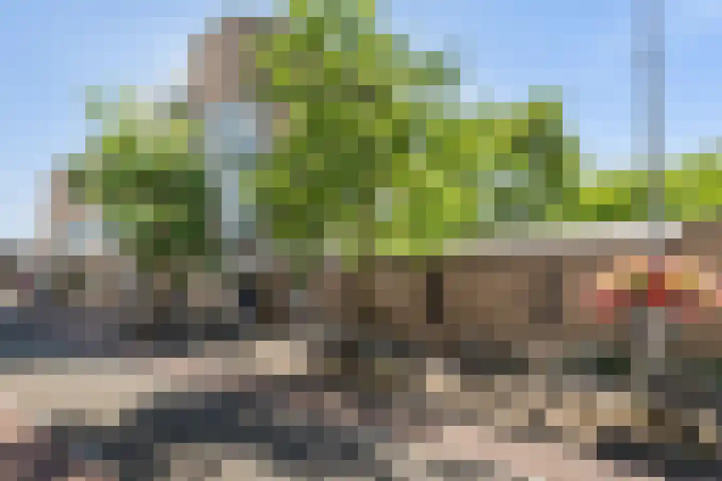 Vredebest 35 Gouda thumbnail 8