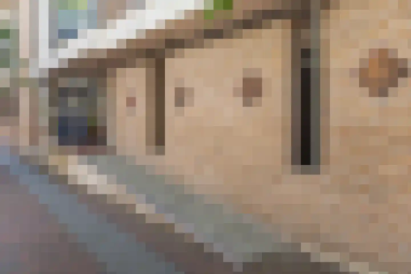 Vredebest 35 Gouda thumbnail 9