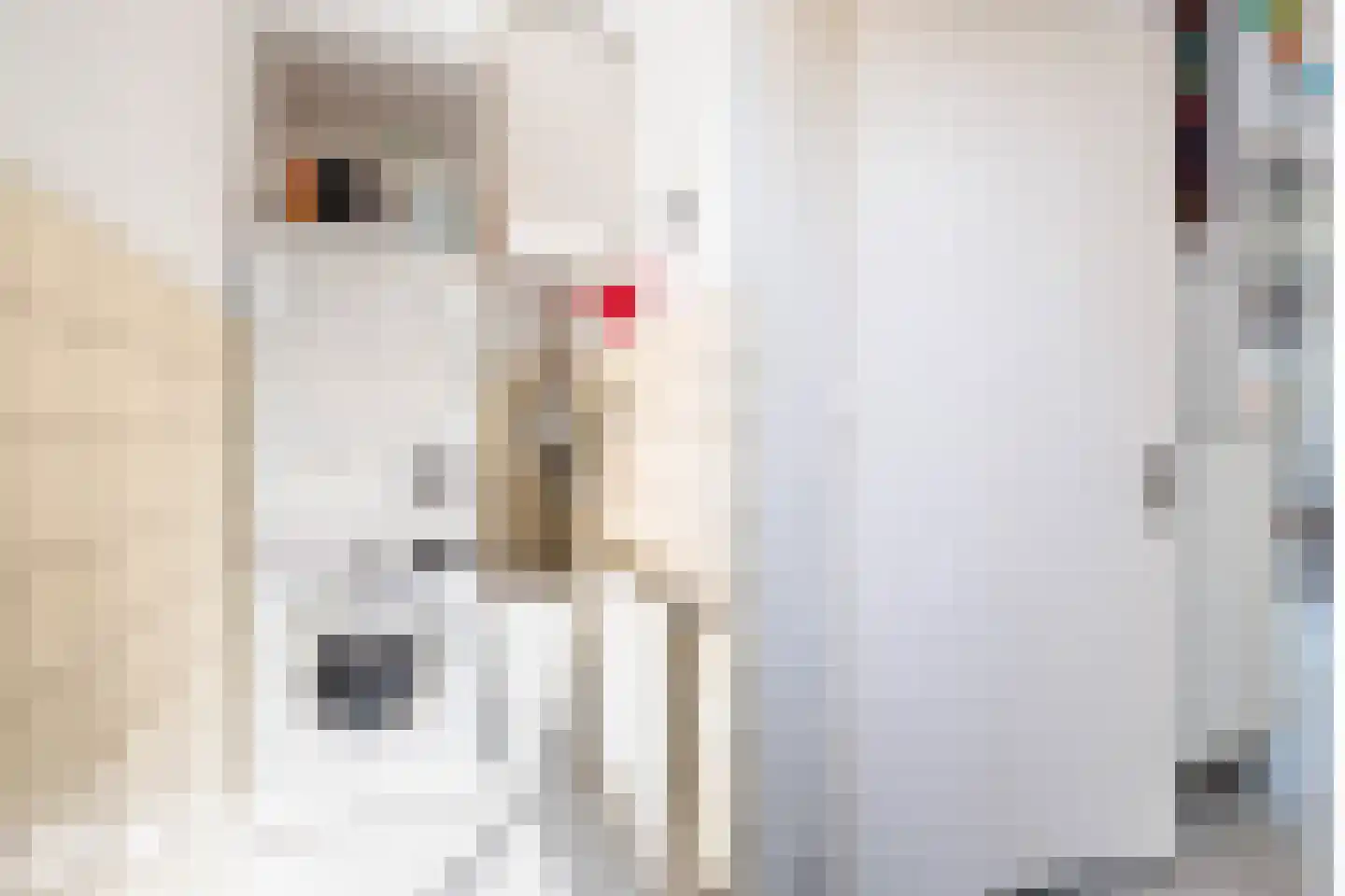Vredebestlaan 1 Poeldijk thumbnail 25
