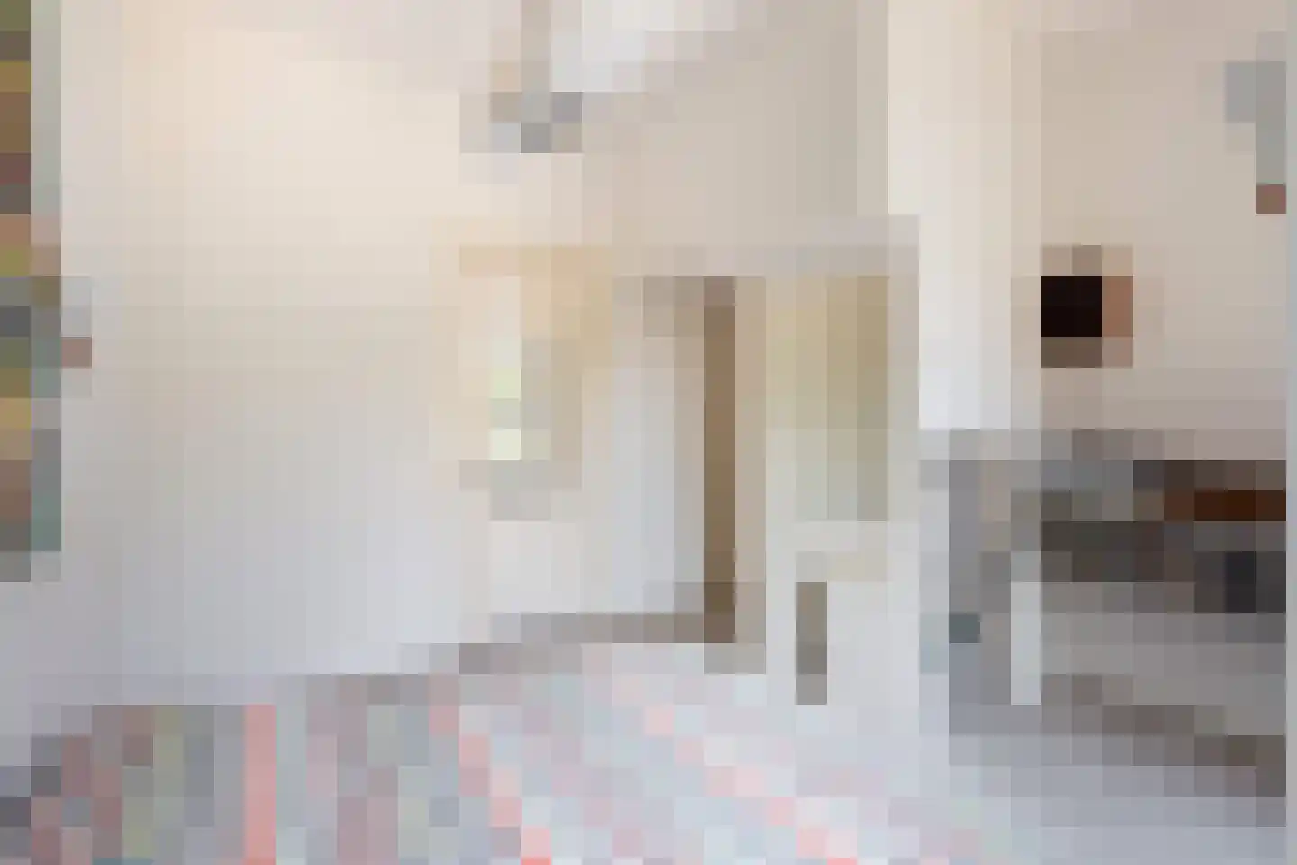 Vredebestlaan 1 Poeldijk thumbnail 28