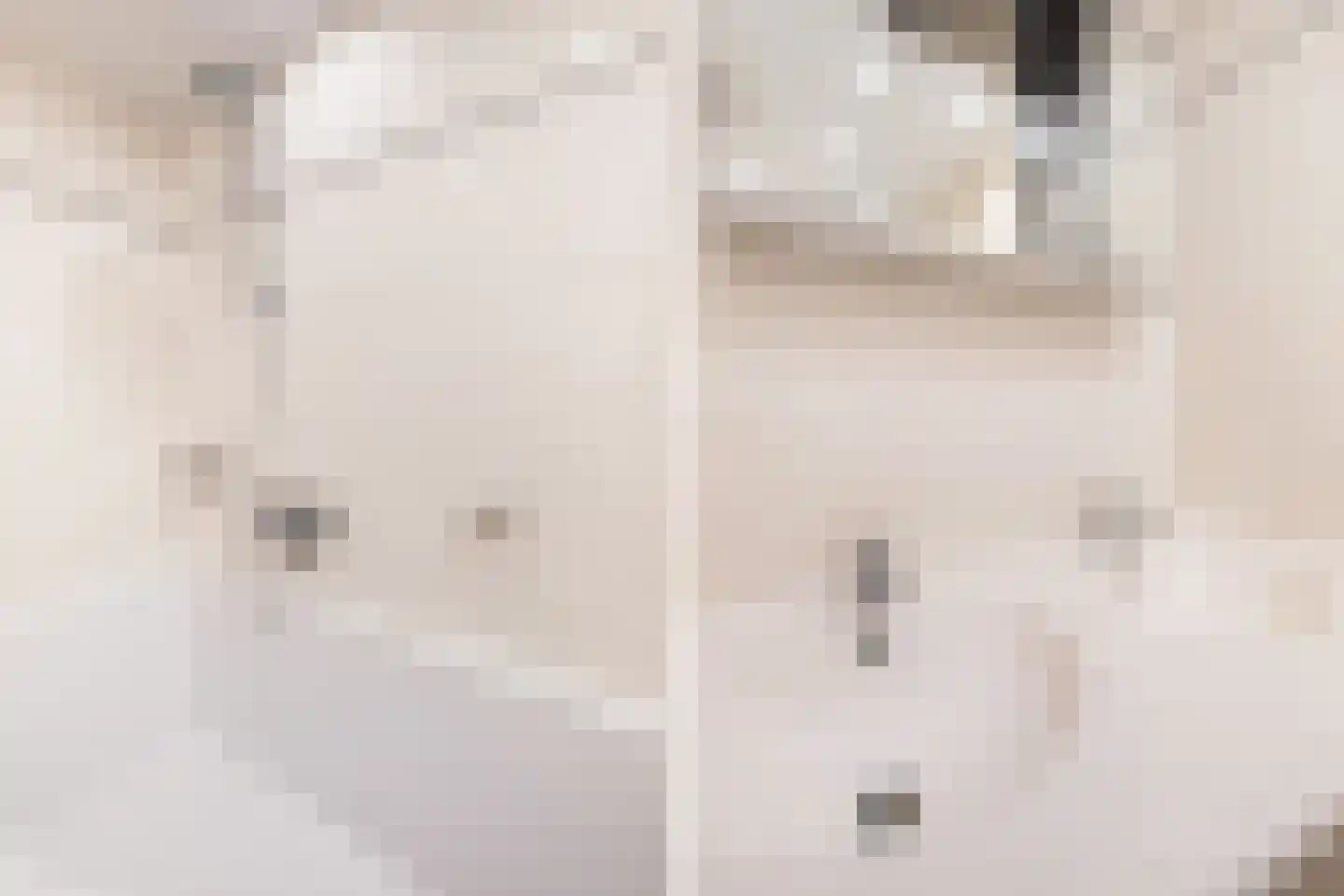 Vredebestlaan 1 Poeldijk thumbnail 32