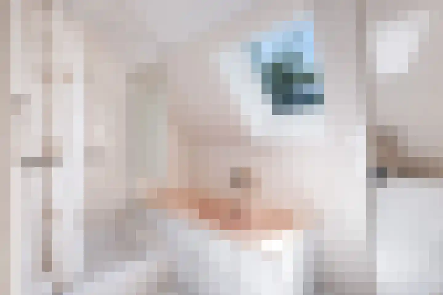Vredebestlaan 1 Poeldijk thumbnail 43