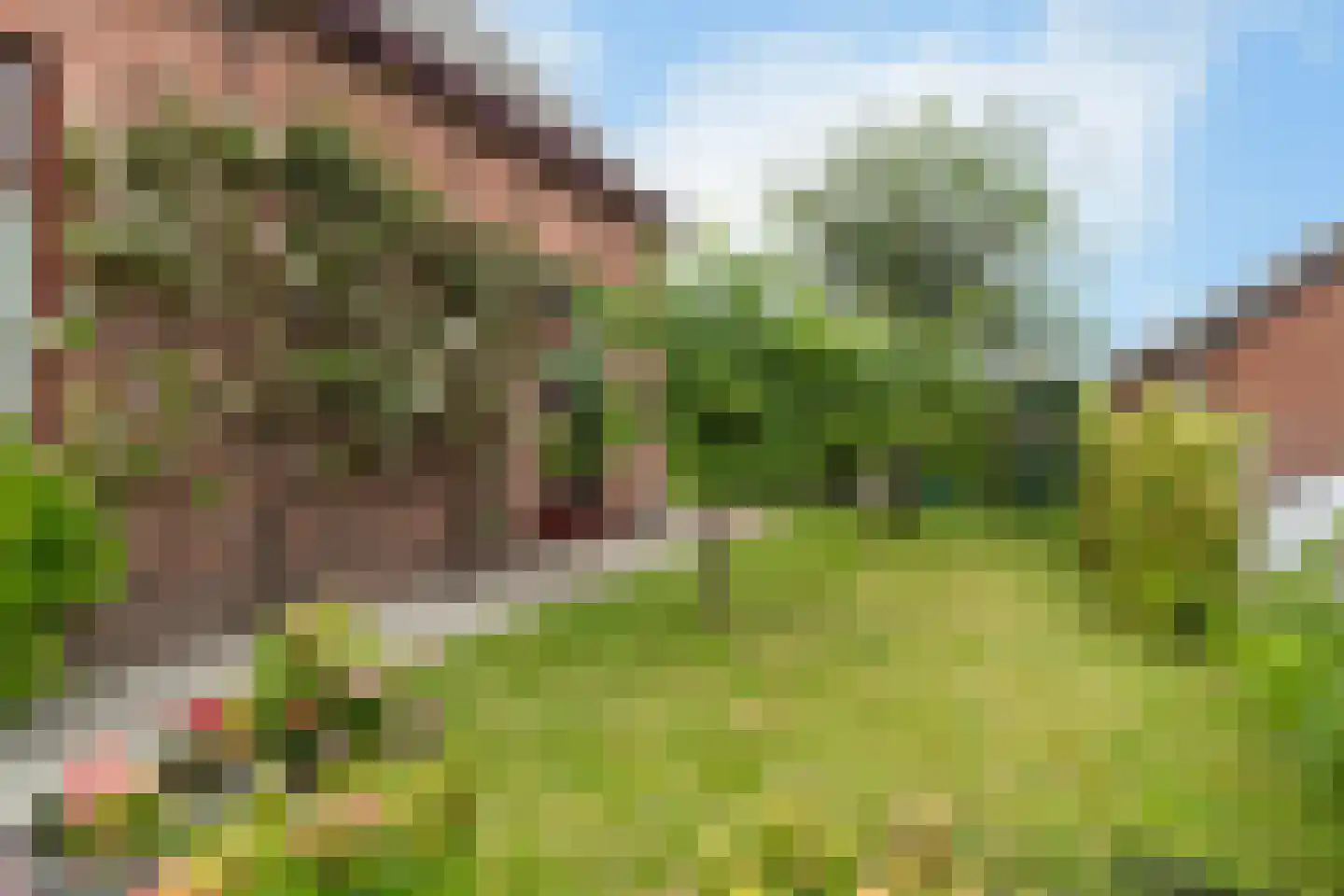 Vredebestlaan 1 Poeldijk thumbnail 50
