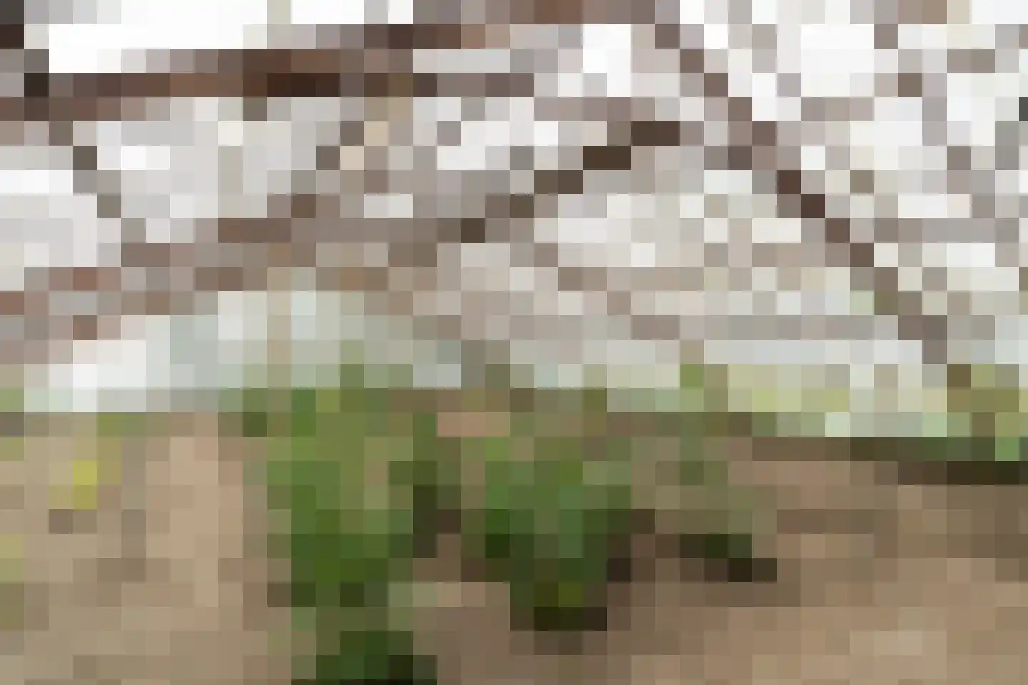 Vredebestlaan 1 Poeldijk thumbnail 6