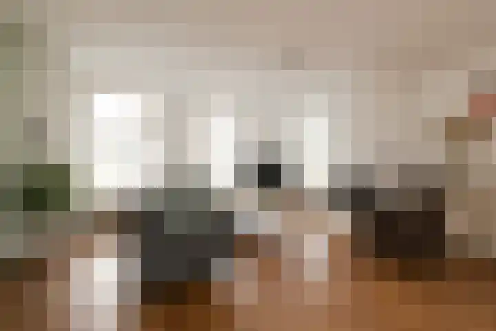 Vredebestlaan 2 Poeldijk thumbnail 10