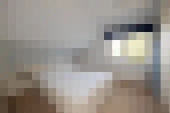 Vredebestlaan 2 Poeldijk thumbnail 23
