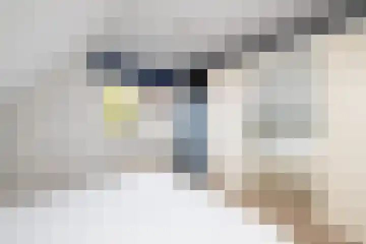 Vredebestlaan 2 Poeldijk thumbnail 24