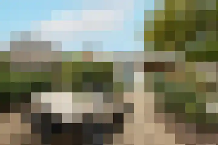Vredebestlaan 2 Poeldijk foto 3