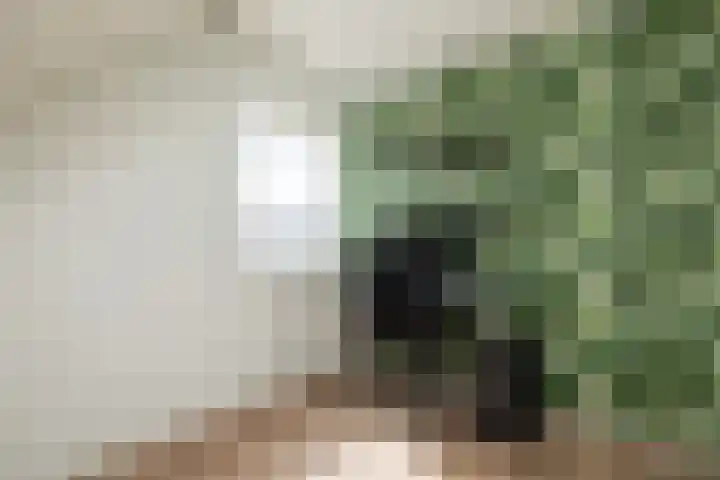 Vredebestlaan 2 Poeldijk thumbnail 30