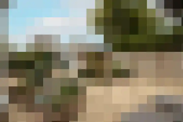 Vredebestlaan 2 Poeldijk thumbnail 34
