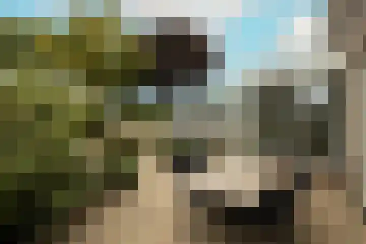 Vredebestlaan 2 Poeldijk thumbnail 37
