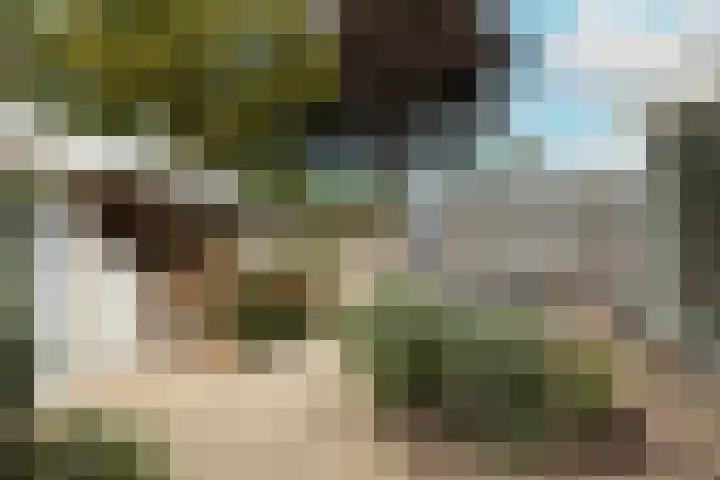 Vredebestlaan 2 Poeldijk thumbnail 38
