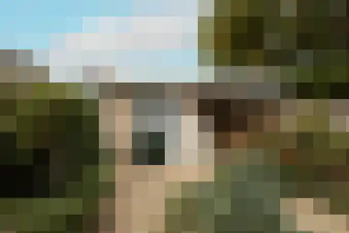 Vredebestlaan 2 Poeldijk thumbnail 39